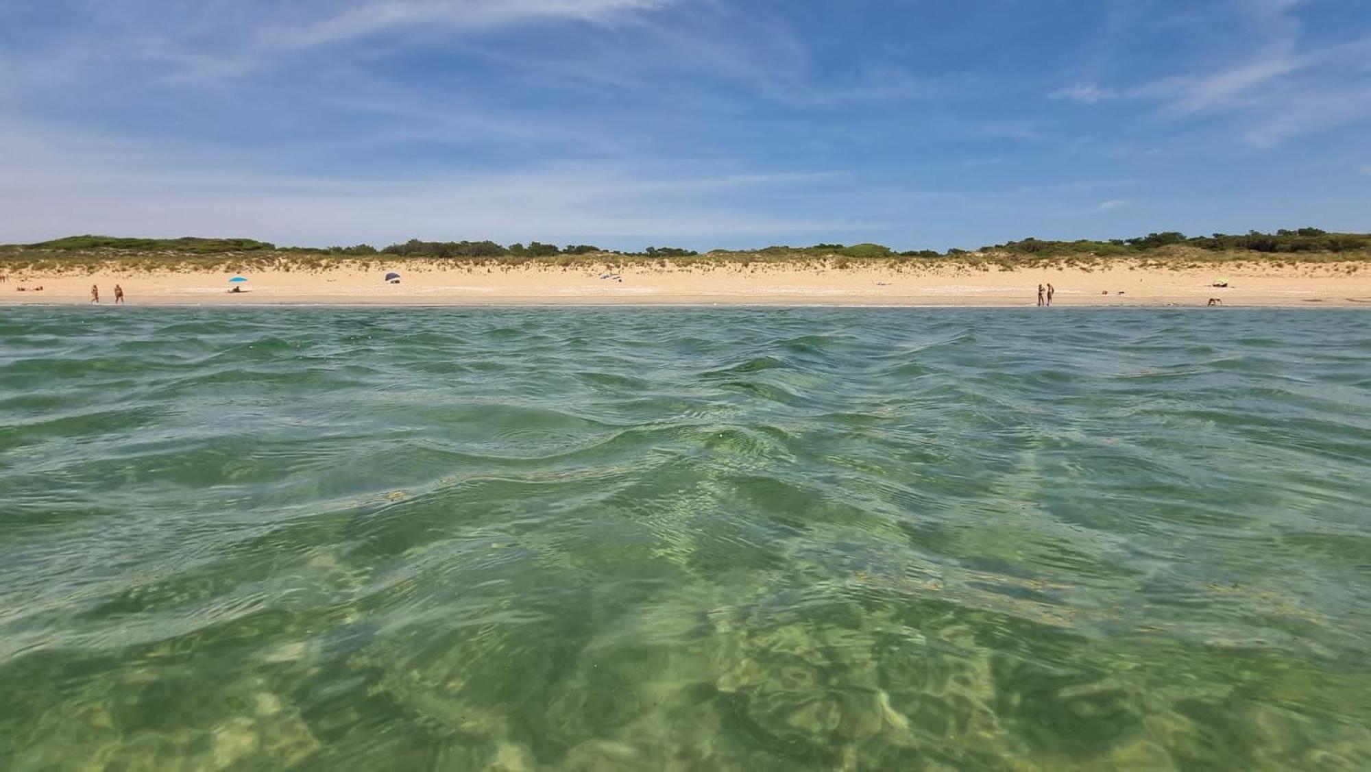 L'écurie&Le Chai - Gîtes de charme entre plage et coeur de village Dolus-d'Oléron Extérieur photo